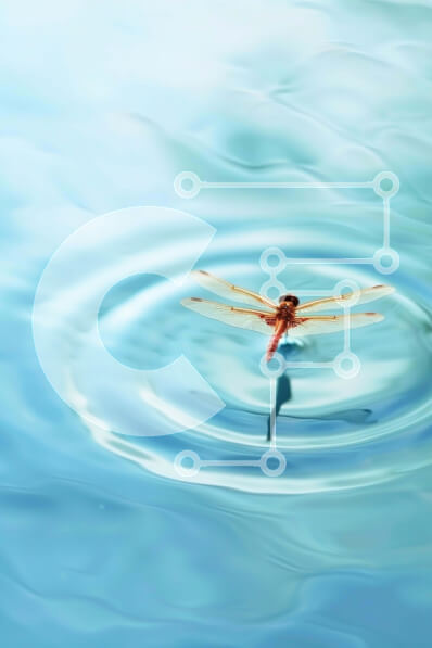 Σετ των 2 Intra Συλλεκτικό Ξύλινο Παζλ Plywood  4mm - Dragonfly στο μπλε νερό με κυματισμούς Σε Ξύλινο Κουτί - Διαστάσεις: 10x10 cm – 25 κομμάτια