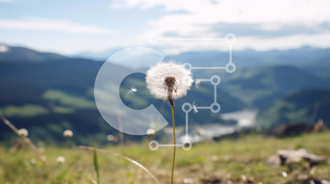 Intra Συλλεκτικό Ξύλινο Παζλ Plywood  4mm - Μοναχική πικραλίδα σε χορταριασμένο χωράφι με βουνά Σε Ξύλινο Κουτί - Διαστάσεις: 10x10 cm – 25 κομμάτια