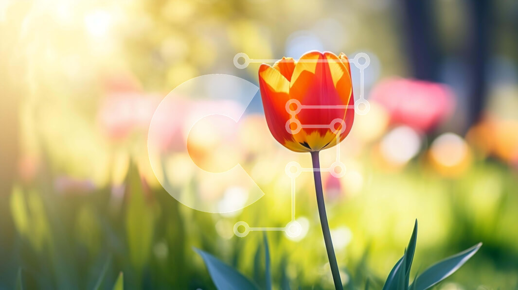 Intra Συλλεκτικό Ξύλινο Παζλ Plywood  4mm - Ζωντανή πορτοκαλί τουλίπα σε πολύχρωμο χωράφι λουλουδιών Σε Ξύλινο Κουτί - Διαστάσεις: 10x10 cm – 25 κομμάτια