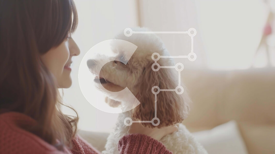 Intra Συλλεκτικό Ξύλινο Παζλ Plywood  4mm - Γυναίκα που κρατά το μικρό λευκό κανίς στον καναπέ Σε Ξύλινο Κουτί - Διαστάσεις: 10x10 cm – 25 κομμάτια