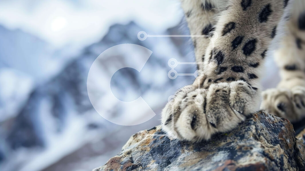 Σετ των 2 Intra Συλλεκτικό Ξύλινο Παζλ Plywood  4mm - Τα πόδια της λεοπάρδαλης του χιονιού σε βράχους μπροστά από βουνά Σε Ξύλινο Κουτί - Διαστάσεις: 10x10 cm – 25 κομμάτια