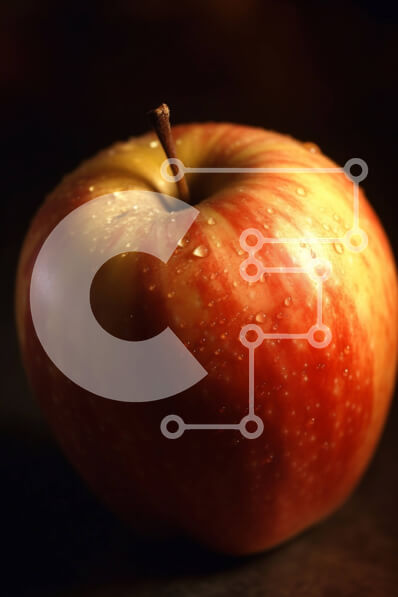 Σετ των 2 Intra Συλλεκτικό Ξύλινο Παζλ Plywood  4mm - Πανέμορφη εικόνα ενός κόκκινου μήλου με σταγονίδια νερού στην επιφάνειά του Σε Ξύλινο Κουτί - Διαστάσεις: 10x10 cm – 25 κομμάτια