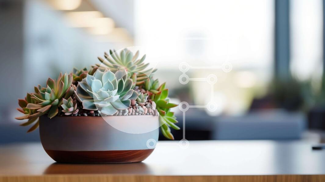 Intra Συλλεκτικό Ξύλινο Παζλ Plywood  4mm - Παχύφυτο σε γλάστρα σε τραπέζι γραφείου Σε Ξύλινο Κουτί - Διαστάσεις Puzzle: 10x10 cm – 25 κομμάτια