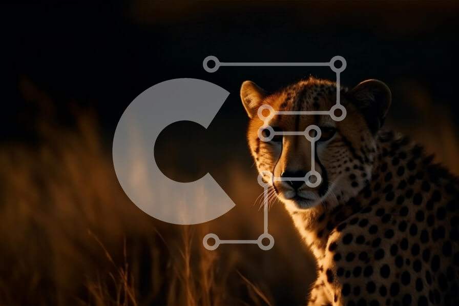 Σετ των 2 Intra Συλλεκτικό Ξύλινο Παζλ Plywood  4mm - Όμορφη εικόνα ενός τσιτάχ που στέκεται σε ψηλό γρασίδι στο ηλιοβασίλεμα Σε Ξύλινο Κουτί - Διαστάσεις: 10x10 cm – 25 κομμάτια