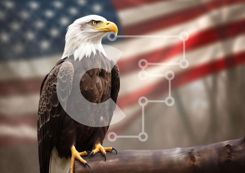 Intra Συλλεκτικό Ξύλινο Παζλ Plywood  4mm - Αετός σκαρφαλωμένος σε κλαδί με αμερικανική σημαία στο φόντο Σε Ξύλινο Κουτί - Διαστάσεις: 10x10 cm – 25 κομμάτια