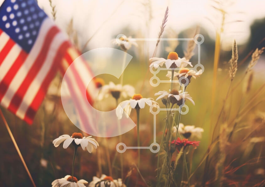 Intra Συλλεκτικό Ξύλινο Παζλ Plywood  4mm - Πεδίο λουλουδιών με αμερικανική σημαία στο φόντο Σε Ξύλινο Κουτί - Διαστάσεις: 10x10 cm – 25 κομμάτια