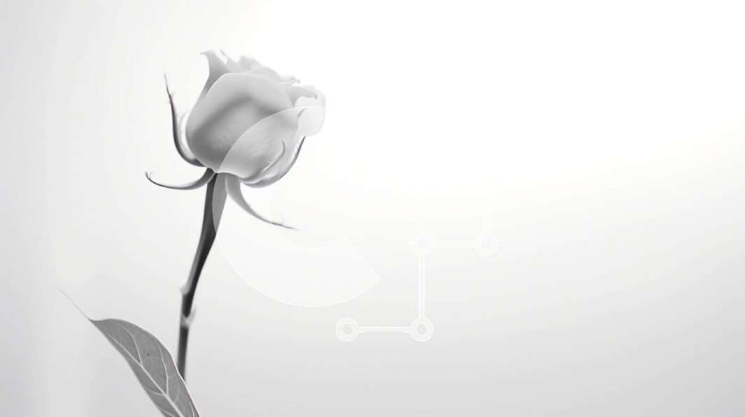 Intra Συλλεκτικό Ξύλινο Παζλ Plywood  4mm - Single White Rose - Ομορφιά και Μοναδικότητα Σε Ξύλινο Κουτί - Διαστάσεις: 10x10 cm – 25 κομμάτια