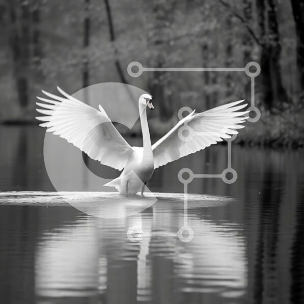 Intra Συλλεκτικό Ξύλινο Παζλ Plywood  4mm - Λευκός Κύκνος που απογειώνεται από το νερό - Όμορφη εικόνα Σε Ξύλινο Κουτί - Διαστάσεις: 10x10 cm – 25 κομμάτια