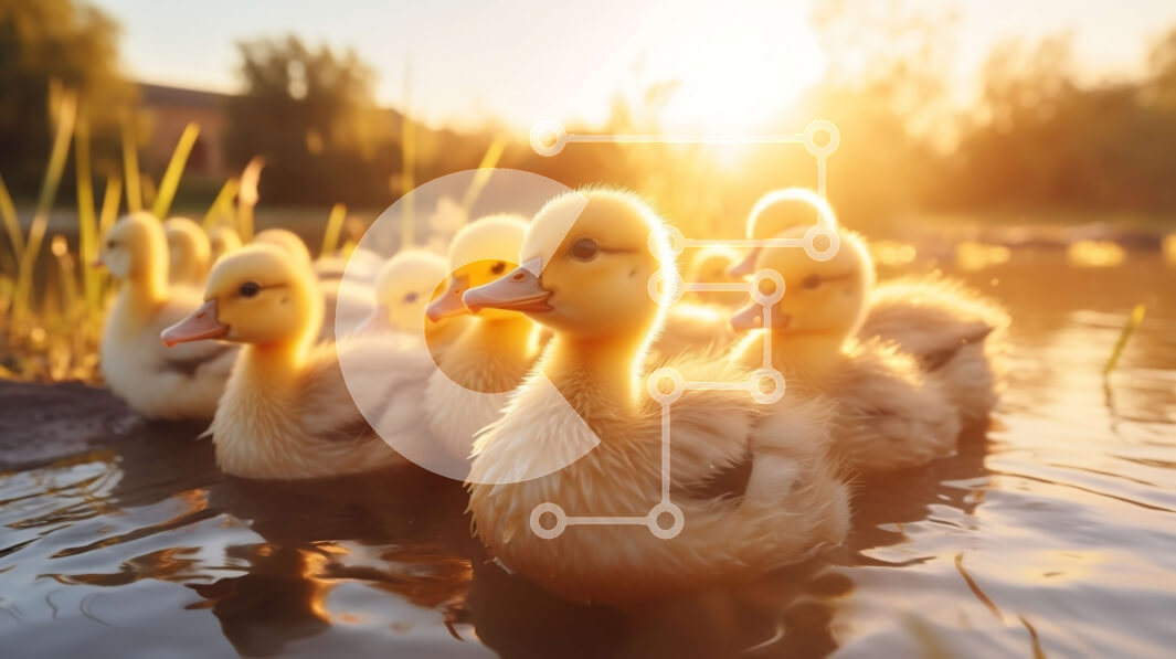 Intra Συλλεκτικό Ξύλινο Παζλ Plywood  4mm - Ηλιοβασίλεμα στη λίμνη με τις πάπιες Σε Ξύλινο Κουτί - Διαστάσεις: 10x10 cm – 25 κομμάτια