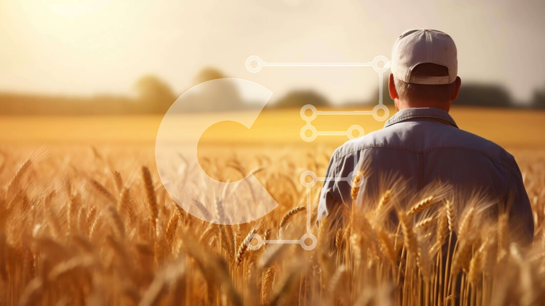 Intra Συλλεκτικό Ξύλινο Παζλ Plywood  4mm - Άτομο που στέκεται στο χωράφι σίτου στο ηλιοβασίλεμα Σε Ξύλινο Κουτί - Διαστάσεις: 10x10 cm – 25 κομμάτια