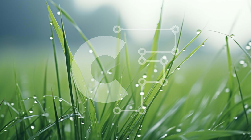 Intra Συλλεκτικό Ξύλινο Παζλ Plywood  4mm - Καταπράσινο γρασίδι με σταγονίδια νερού Σε Ξύλινο Κουτί - Διαστάσεις: 10x10 cm – 25 κομμάτια