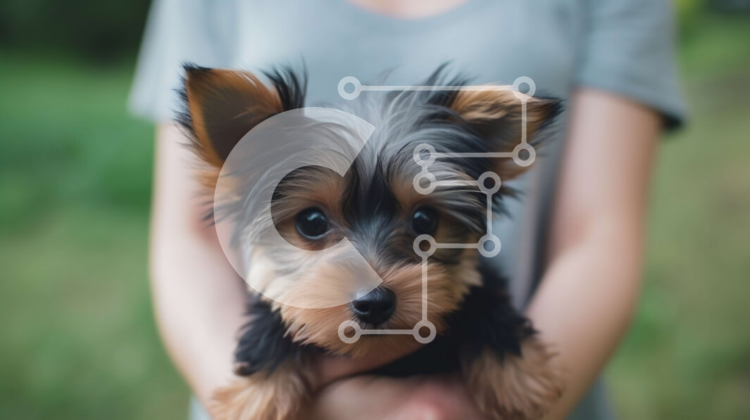 Σετ των 2 Intra Συλλεκτικό Ξύλινο Παζλ Plywood  4mm - Γυναίκα που κρατά μικρό μαύρο και μαύρισμα σκυλί στην αγκαλιά της Σε Ξύλινο Κουτί - Διαστάσεις: 10x10 cm – 25 κομμάτια