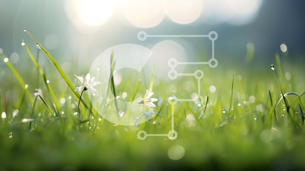 Intra Συλλεκτικό Ξύλινο Παζλ Plywood  4mm - Χλοώδες χωράφι με λευκά λουλούδια και σταγόνες δροσιάς Σε Ξύλινο Κουτί - Διαστάσεις: 10x10 cm – 25 κομμάτια