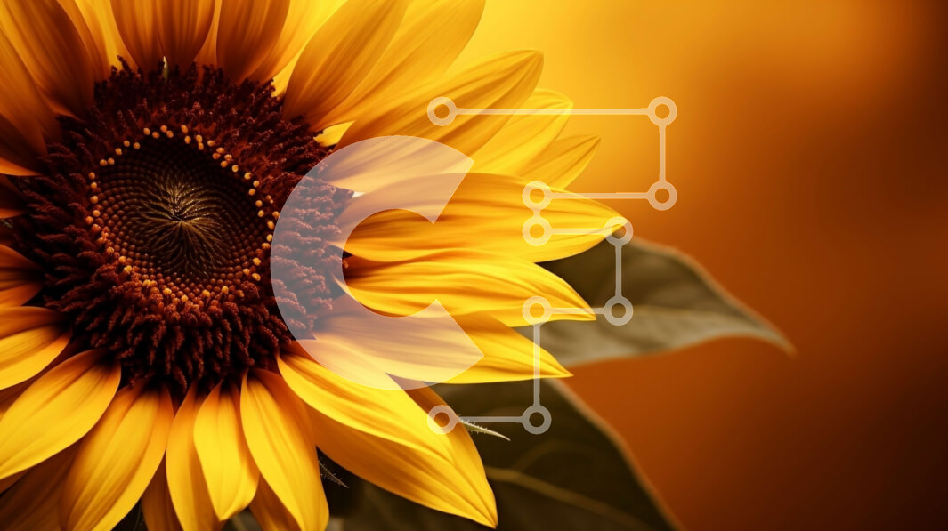 Intra Συλλεκτικό Ξύλινο Παζλ Plywood  4mm - Κοντινό πλάνο ενός ανθισμένου ηλίανθου σε ένα πορτοκαλί φόντο Σε Ξύλινο Κουτί - Διαστάσεις: 10x10 cm – 25 κομμάτια