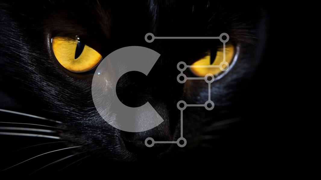 Σετ των 2 Intra Συλλεκτικό Ξύλινο Παζλ Plywood  4mm - Μαύρη γάτα με κίτρινα μάτια κοιτάζοντας την κάμερα Σε Ξύλινο Κουτί - Διαστάσεις: 10x10 cm – 25 κομμάτια