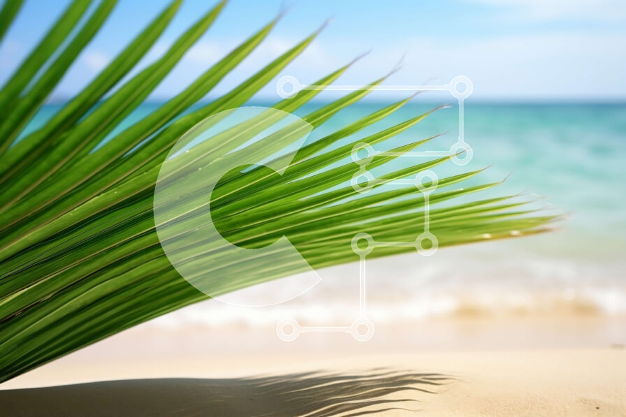 Intra Συλλεκτικό Ξύλινο Παζλ Plywood  4mm - Πράσινο φύλλο φοίνικα στην αμμώδη παραλία με φόντο καθαρό μπλε νερό Σε Ξύλινο Κουτί - Διαστάσεις: 10x10 cm – 25 κομμάτια