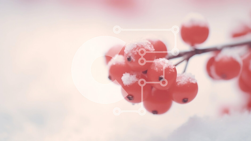 Intra Συλλεκτικό Ξύλινο Παζλ Plywood  4mm - Κλάδος κόκκινων μούρων καλυμμένο στο χιόνι Σε Ξύλινο Κουτί - Διαστάσεις: 10x10 cm – 25 κομμάτια