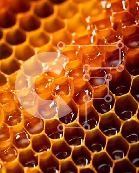 Σετ των 2 Intra Συλλεκτικό Ξύλινο Παζλ Plywood  4mm - Όμορφο κοντινό πλάνο της κηρήθρας με γλυκό μέλι που στάζει Σε Ξύλινο Κουτί - Διαστάσεις: 10x10 cm – 25 κομμάτια