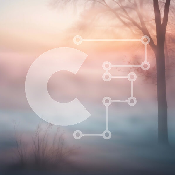 Intra Συλλεκτικό Ξύλινο Παζλ Plywood  4mm - Όμορφη εικόνα ενός γυμνού δέντρου σε ένα ομιχλώδες τοπίο Σε Ξύλινο Κουτί - Διαστάσεις: 10x10 cm – 25 κομμάτια