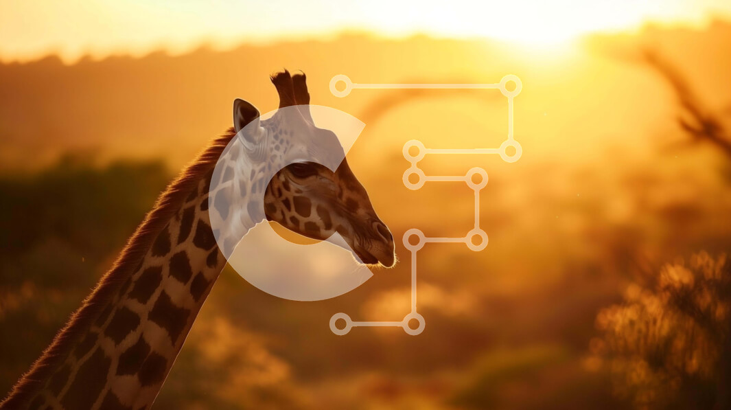 Σετ των 2 Intra Συλλεκτικό Ξύλινο Παζλ Plywood  4mm - Καμηλοπάρδαλη που στέκεται σε λιβάδι με το ηλιοβασίλεμα πίσω Σε Ξύλινο Κουτί - Διαστάσεις: 10x10 cm – 25 κομμάτια