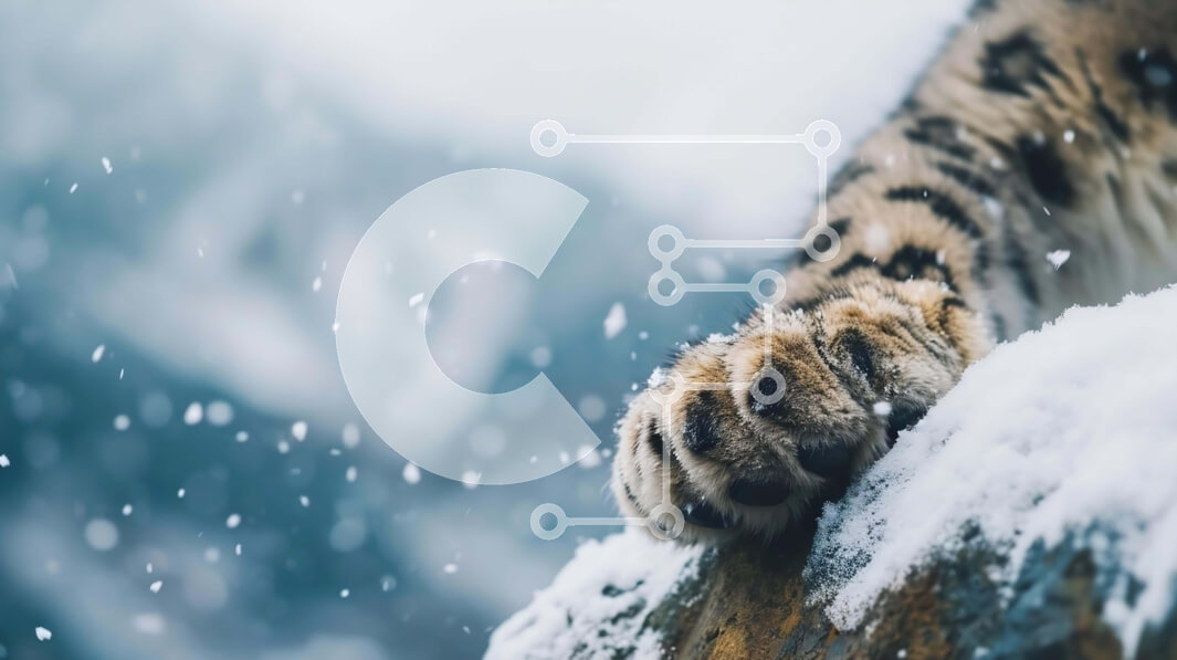 Intra Συλλεκτικό Ξύλινο Παζλ Plywood  4mm - Snow Leopard's Paw in the Snow Σε Ξύλινο Κουτί - Διαστάσεις: 10x10 cm – 25 κομμάτια