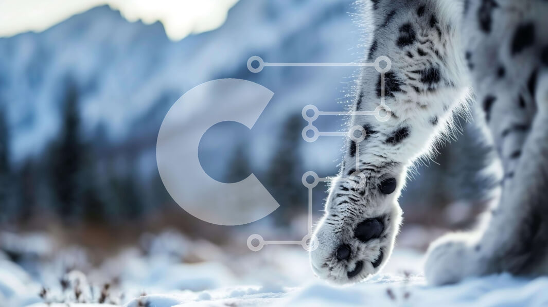 Σετ των 2 Intra Συλλεκτικό Ξύλινο Παζλ Plywood  4mm - Snow Leopard Paw στο χιόνι Σε Ξύλινο Κουτί - Διαστάσεις: 10x10 cm – 25 κομμάτια