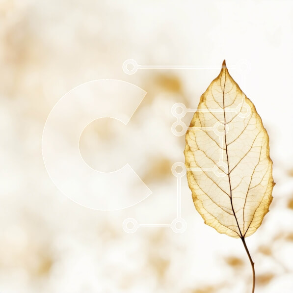 Intra Συλλεκτικό Ξύλινο Παζλ Plywood  4mm - Μονό καφέ φύλλο που επιπλέει στον αέρα Σε Ξύλινο Κουτί - Διαστάσεις: 10x10 cm – 25 κομμάτια