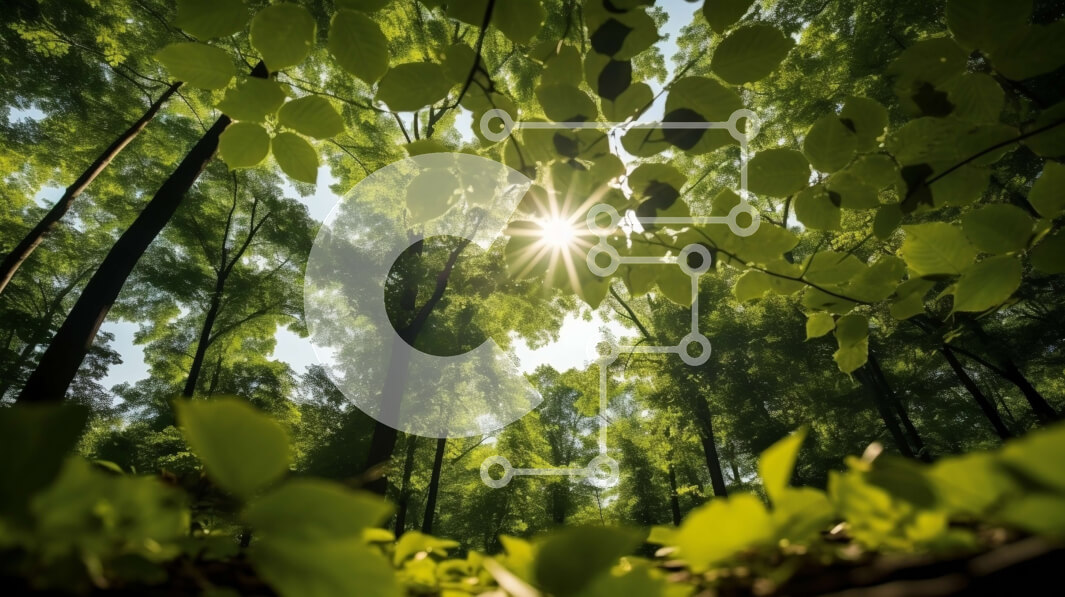 Intra Συλλεκτικό Ξύλινο Παζλ Plywood  4mm - Ηλιόλουστο δάσος με ψηλά δέντρα και πράσινα φύλλα Σε Ξύλινο Κουτί - Διαστάσεις: 10x10 cm – 25 κομμάτια