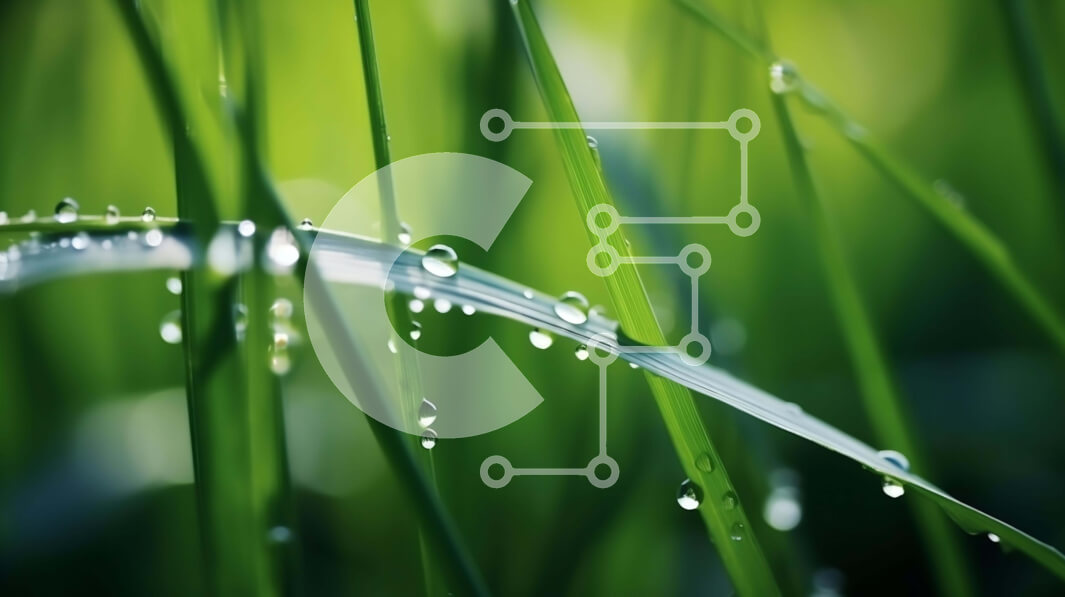 Intra Συλλεκτικό Ξύλινο Παζλ Plywood  4mm - Πράσινο γρασίδι με σταγόνες νερού - Η ομορφιά της φύσης Σε Ξύλινο Κουτί - Διαστάσεις: 10x10 cm – 25 κομμάτια