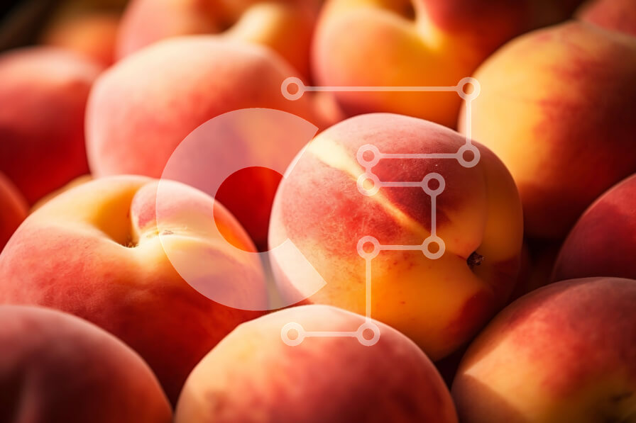 Σετ των 2 Intra Συλλεκτικό Ξύλινο Παζλ Plywood  4mm - Σωρός από ροδάκινα Σε Ξύλινο Κουτί - Διαστάσεις: 10x10 cm – 25 κομμάτια