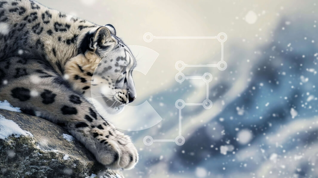 Intra Συλλεκτικό Ξύλινο Παζλ Plywood  4mm - Λεοπάρδαλη του χιονιού που στηρίζεται σε έναν βράχο στο χιόνι Σε Ξύλινο Κουτί - Διαστάσεις: 10x10 cm – 25 κομμάτια