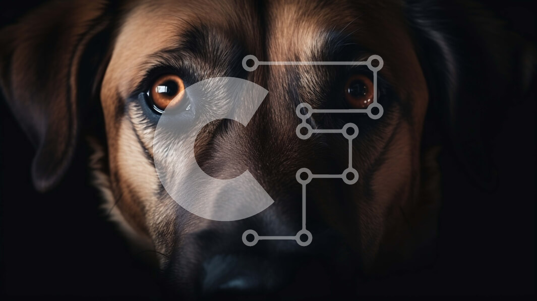 Σετ των 2 Intra Συλλεκτικό Ξύλινο Παζλ Plywood  4mm - Κοντινό πλάνο του καφέ σκύλου με τα μεγάλα καστανά μάτια Σε Ξύλινο Κουτί - Διαστάσεις: 10x10 cm – 25 κομμάτια