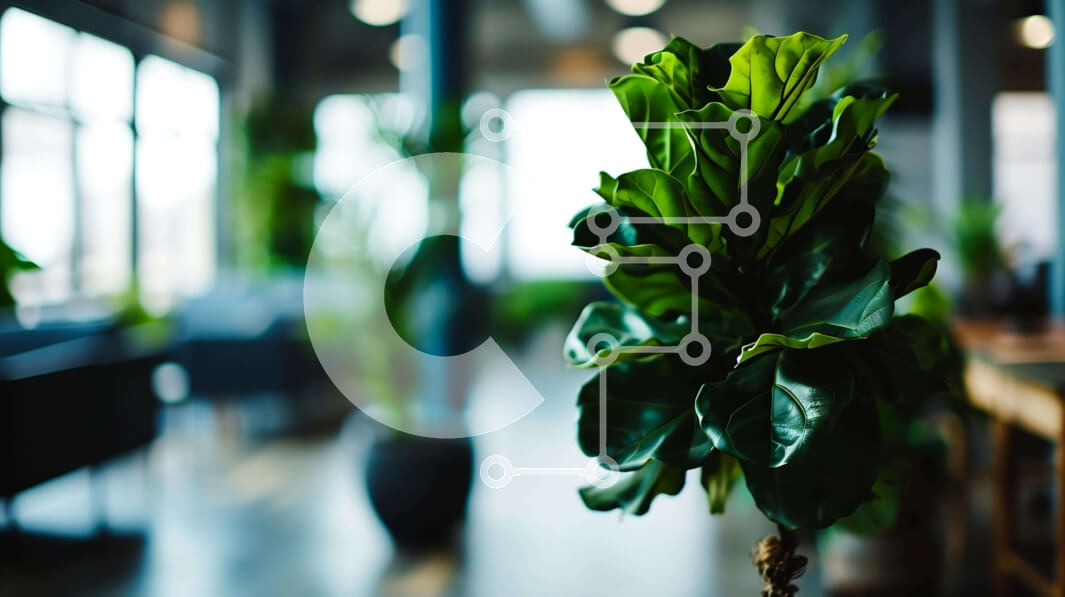 Intra Συλλεκτικό Ξύλινο Παζλ Plywood  4mm - Εσωτερικό γραφείου με φυτό σε γλάστρα και καθιστικό Σε Ξύλινο Κουτί - Διαστάσεις Puzzle: 10x10 cm – 25 κομμάτια