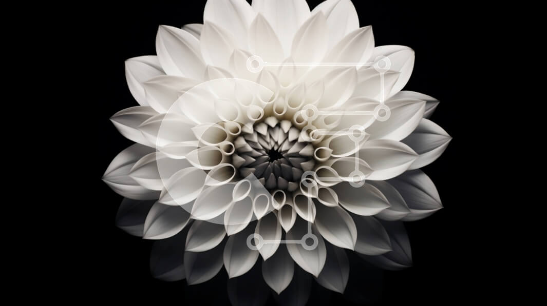 Intra Συλλεκτικό Ξύλινο Παζλ Plywood  4mm - Μεγάλο λουλούδι Λευκής Βίβλου σε μαύρο φόντο Σε Ξύλινο Κουτί - Διαστάσεις Puzzle: 10x10 cm – 25 κομμάτια