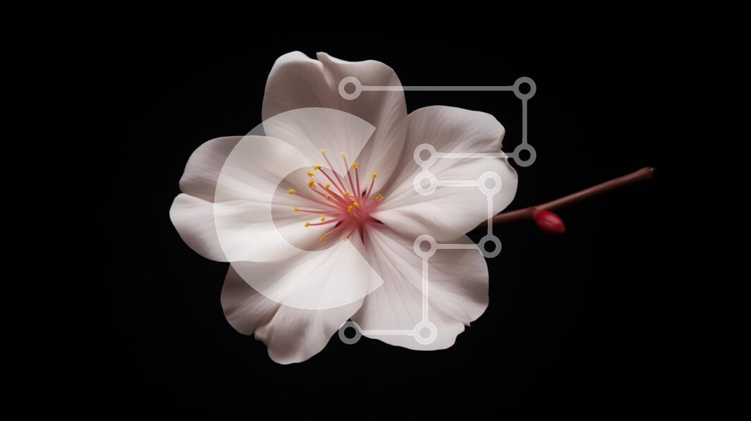 Intra Συλλεκτικό Ξύλινο Παζλ Plywood  4mm - Μονό λευκό λουλούδι σε αγκάθινο κλαδί Σε Ξύλινο Κουτί - Διαστάσεις: 10x10 cm – 25 κομμάτια