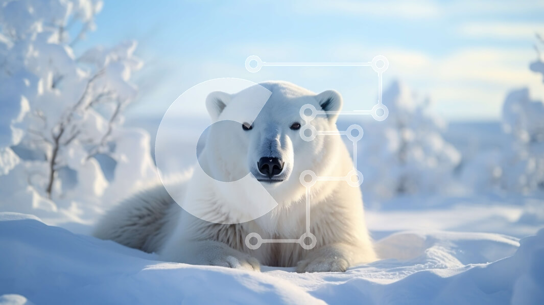 Intra Συλλεκτικό Ξύλινο Παζλ Plywood  4mm - Λευκή πολική αρκούδα στο χιόνι Σε Ξύλινο Κουτί - Διαστάσεις: 10x10 cm – 25 κομμάτια