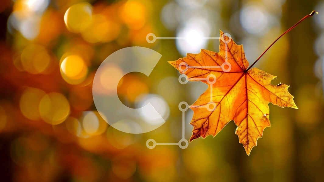 Intra Συλλεκτικό Ξύλινο Παζλ Plywood  4mm - Ζωντανό Φθινοπωρινό Φύλλο Κρεμασμένο στον Αέρα Σε Ξύλινο Κουτί - Διαστάσεις: 10x10 cm – 25 κομμάτια