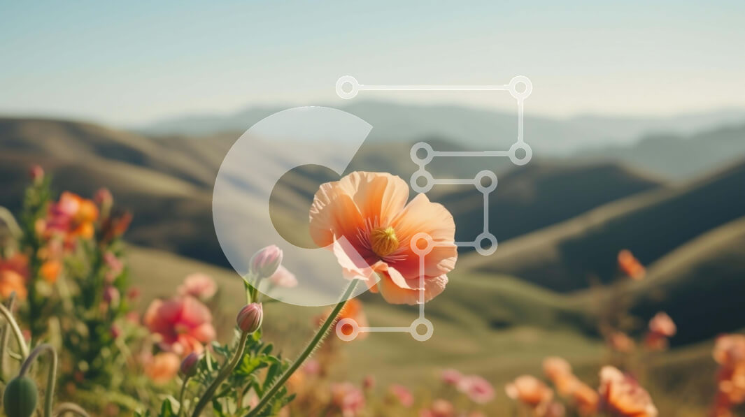 Intra Συλλεκτικό Ξύλινο Παζλ Plywood  4mm - Μονό ροζ λουλούδι παπαρούνας σε ανοιχτό χωράφι με βουνά Σε Ξύλινο Κουτί - Διαστάσεις: 10x10 cm – 25 κομμάτια