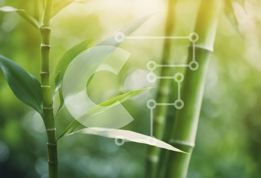 Intra Συλλεκτικό Ξύλινο Παζλ Plywood  4mm - Κοντινό πλάνο του φυτού πράσινου μπαμπού Σε Ξύλινο Κουτί - Διαστάσεις: 10x10 cm – 25 κομμάτια