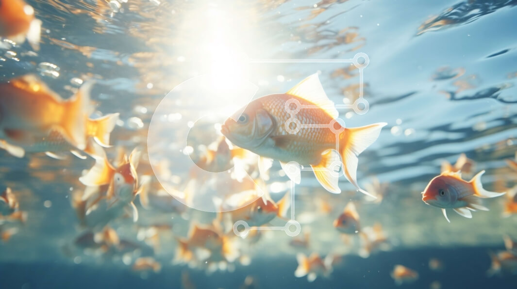 Intra Συλλεκτικό Ξύλινο Παζλ Plywood  4mm - Σχολή Πορτοκαλί Ψαριών που Κολυμπούν σε Καθαρά Νερά Σε Ξύλινο Κουτί - Διαστάσεις: 10x10 cm – 25 κομμάτια