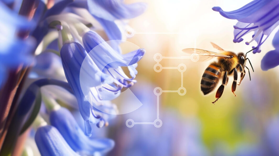 Intra Συλλεκτικό Ξύλινο Παζλ Plywood  4mm - Μέλισσα αιωρείται μπροστά από μπλε λουλούδια Σε Ξύλινο Κουτί - Διαστάσεις: 10x10 cm – 25 κομμάτια