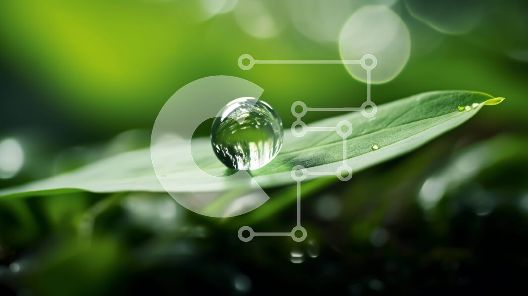 Intra Συλλεκτικό Ξύλινο Παζλ Plywood  4mm - Σταγονίδιο νερού σε πράσινο φύλλο σε φυσικό περιβάλλον Σε Ξύλινο Κουτί - Διαστάσεις: 10x10 cm – 25 κομμάτια