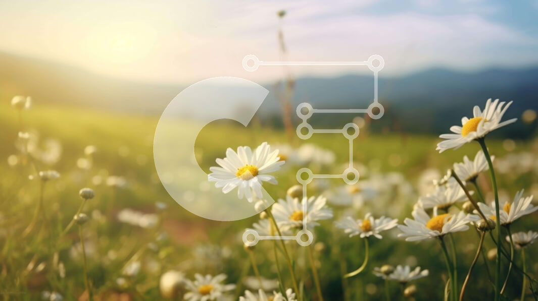 Intra Συλλεκτικό Ξύλινο Παζλ Plywood  4mm - Πεδίο με λευκές μαργαρίτες με πράσινο γρασίδι και βουνά Σε Ξύλινο Κουτί - Διαστάσεις: 10x10 cm – 25 κομμάτια