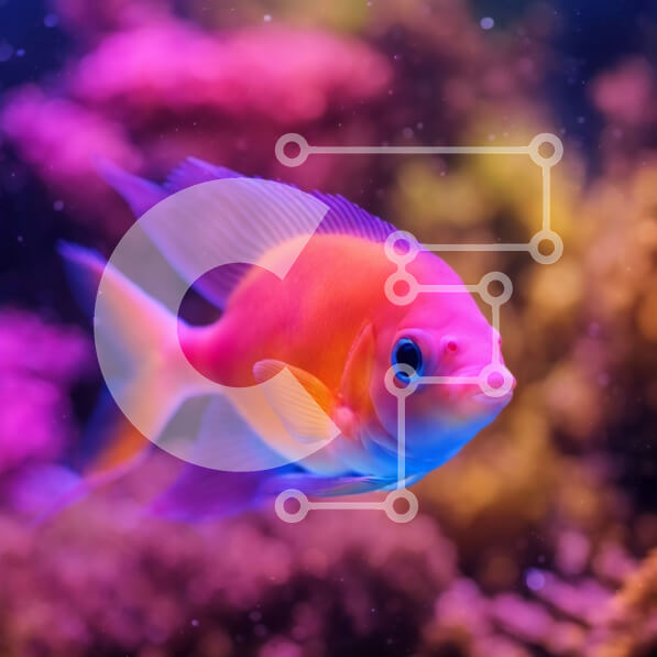 Intra Συλλεκτικό Ξύλινο Παζλ Plywood  4mm - Πολύχρωμα ψάρια που κολυμπούν στο ενυδρείο με κοράλλια και άλλα ψάρια Σε Ξύλινο Κουτί - Διαστάσεις: 10x10 cm – 25 κομμάτια