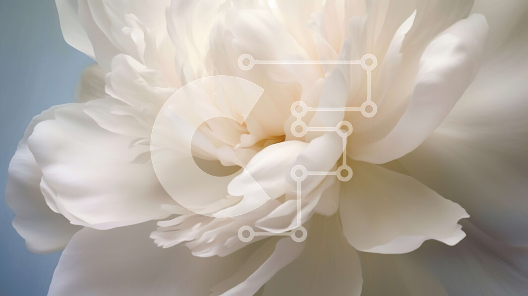 Intra Συλλεκτικό Ξύλινο Παζλ Plywood  4mm - Όμορφη κοντινή λήψη ενός λευκού λουλουδιού παιώνιας με ευαίσθητα πέταλα Σε Ξύλινο Κουτί - Διαστάσεις: 10x10 cm – 25 κομμάτια