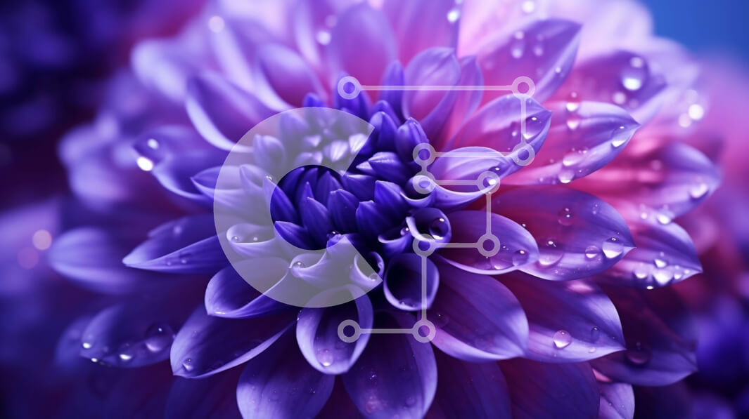 Intra Συλλεκτικό Ξύλινο Παζλ Plywood  4mm - Γκρο πλαν του μωβ λουλουδιού με σταγονίδια νερού Σε Ξύλινο Κουτί - Διαστάσεις: 10x10 cm – 25 κομμάτια