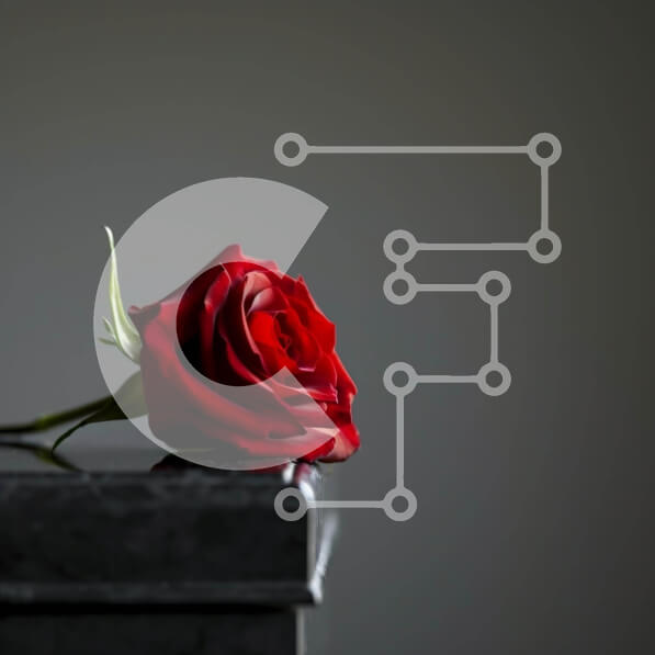 Intra Συλλεκτικό Ξύλινο Παζλ Plywood  4mm - Κόκκινο τριαντάφυλλο στην κενή ταφόπλακα Σε Ξύλινο Κουτί - Διαστάσεις: 10x10 cm – 25 κομμάτια