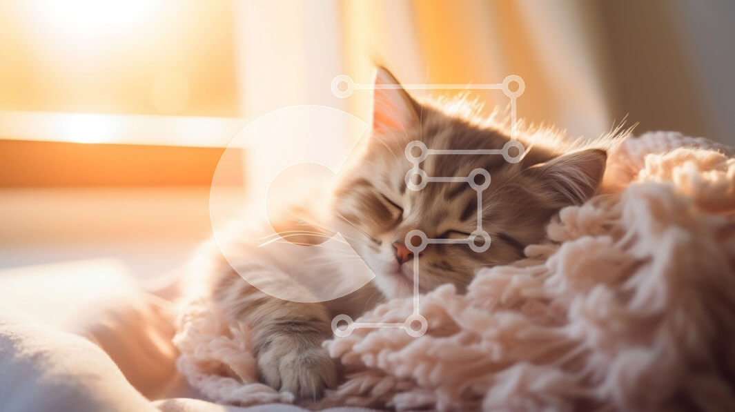 Σετ των 2 Intra Συλλεκτικό Ξύλινο Παζλ Plywood  4mm - Γατάκι ύπνου σε ροζ κουβέρτα στο ηλιόλουστο δωμάτιο Σε Ξύλινο Κουτί - Διαστάσεις: 10x10 cm – 25 κομμάτια