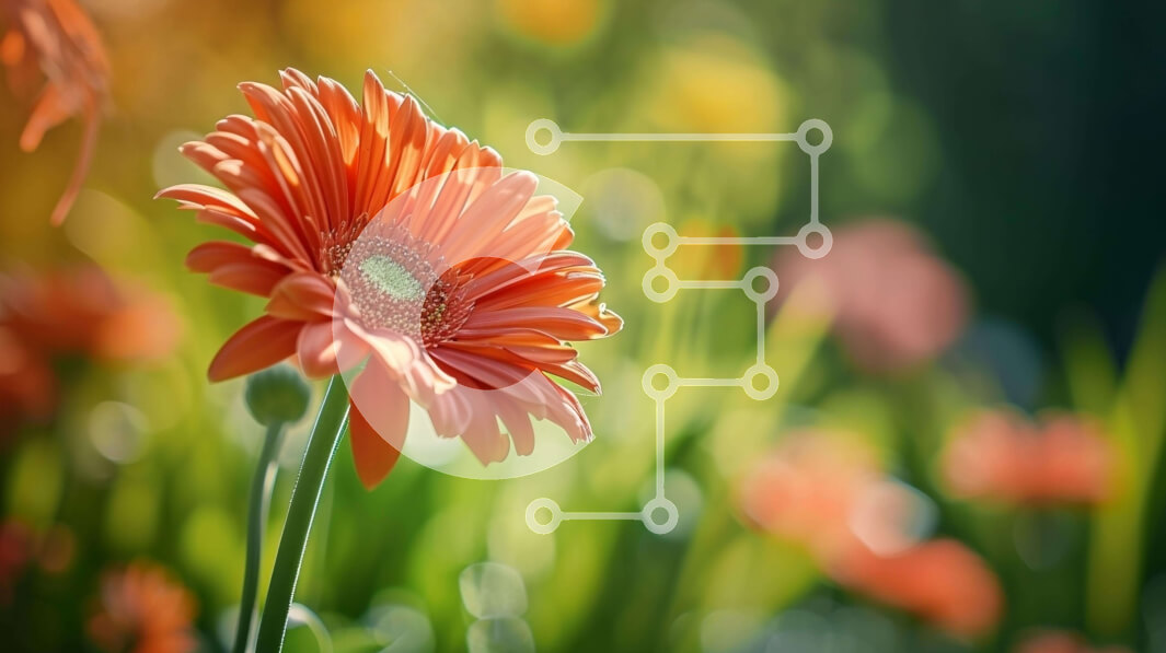 Intra Συλλεκτικό Ξύλινο Παζλ Plywood  4mm - Πορτοκαλί λουλούδι σε ένα χωράφι με πολύχρωμα λουλούδια Σε Ξύλινο Κουτί - Διαστάσεις: 10x10 cm – 25 κομμάτια