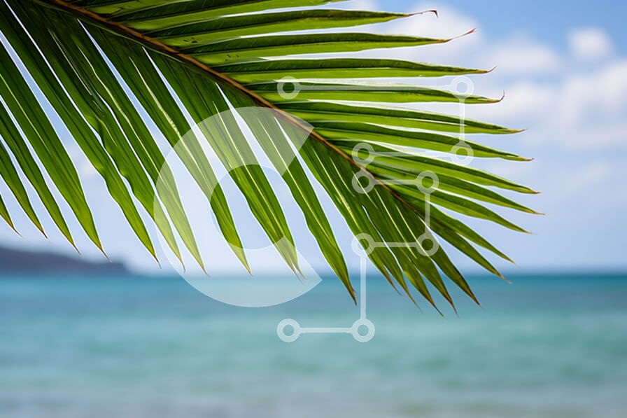 Intra Συλλεκτικό Ξύλινο Παζλ Plywood  4mm - Πράσινο φύλλο φοίνικα που κρέμεται πάνω από το νερό με καθαρό μπλε ουρανό Σε Ξύλινο Κουτί - Διαστάσεις: 10x10 cm – 25 κομμάτια